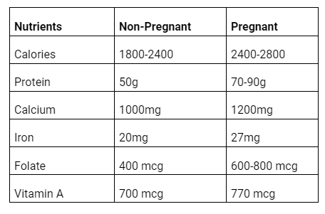 Diet During Pregnancy