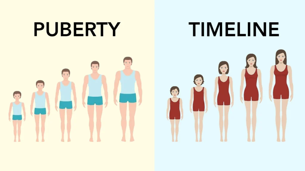 The puberty timeline: Recognizing Early and late Developments